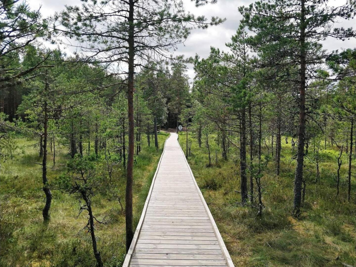 Norwegian Saunahouse Haapse Extérieur photo
